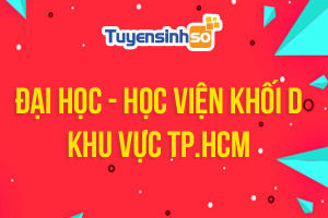 ĐH - HV Khối D khu vực TP. HCM