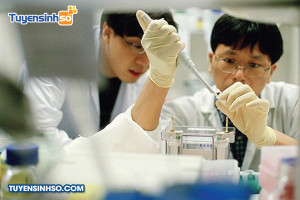 Ngành Kỹ thuật sinh học