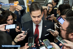 Ngành Truyền thông đại chúng